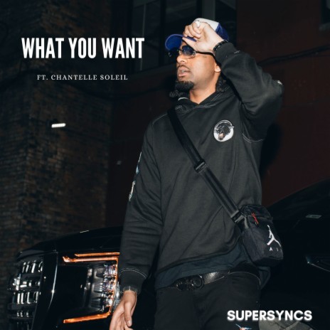 What You Want (Radio Edit) ft. Chantelle Soleil | Boomplay Music