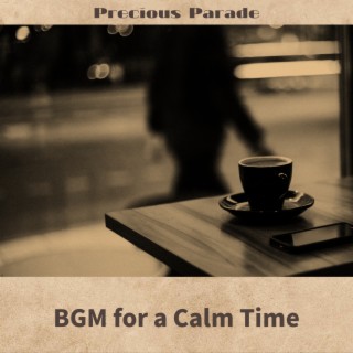 BGM for a Calm Time