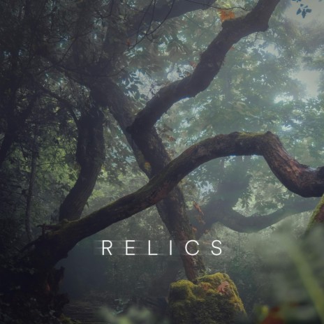 Relics | Boomplay Music