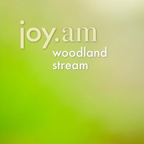 woodland stream | Boomplay Music