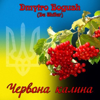 Dmytro Bogush (De Shifer)