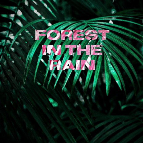 Forest in the Rain | Boomplay Music