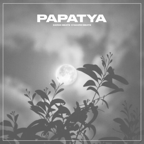 Papatya ft. Zarox Beatz