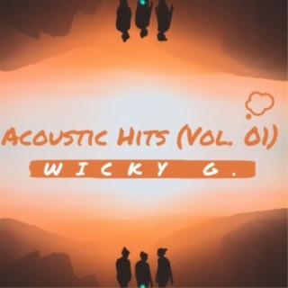 Acoustic Hits, Vol. 01
