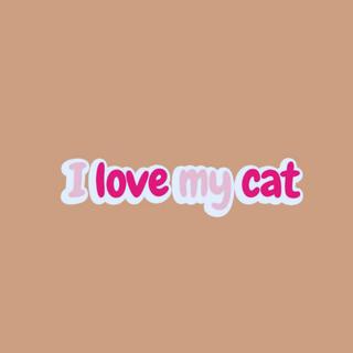 I Love my Cat