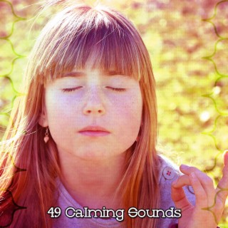 49 Calming Sounds