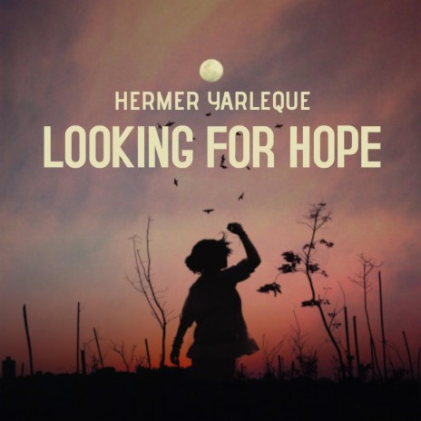 Looking for Hope | Boomplay Music