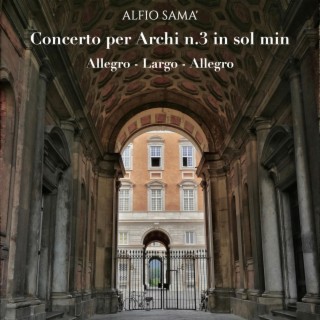 Concerto per Archi No. 3 in Sol Minore: Allegro - Largo - Allegro