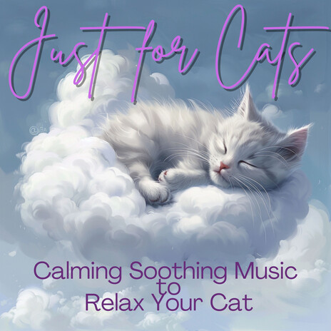 Musical Meadow ft. Cat Music Dreams & Cat Music Zone | Boomplay Music