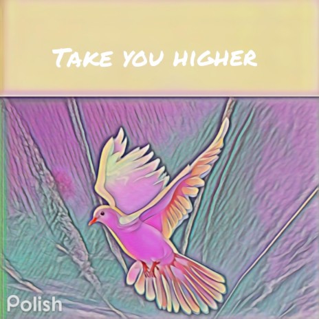 Take you higher | Boomplay Music