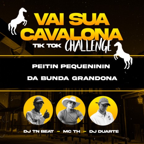Vai Sua Cavalona - Tik Tok Challenge ft. DJ TN Beat & MC TH | Boomplay Music