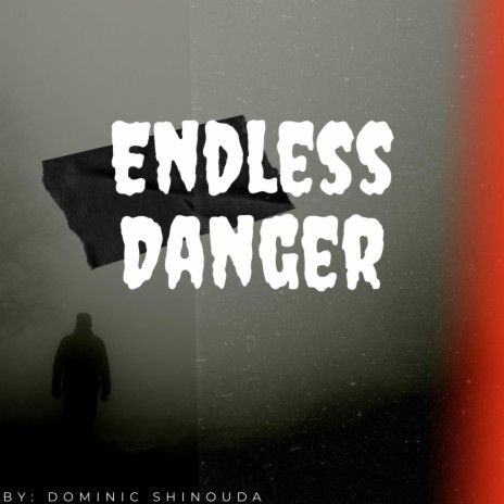 Endless Danger | Boomplay Music