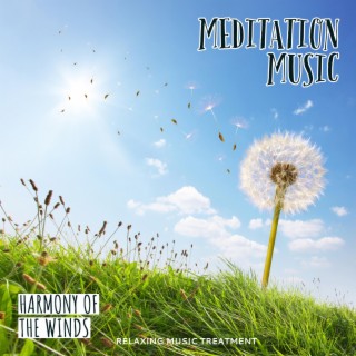 Meditation Music (Harmony of the Winds)