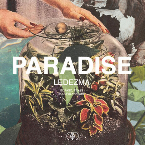 Paradise | Boomplay Music