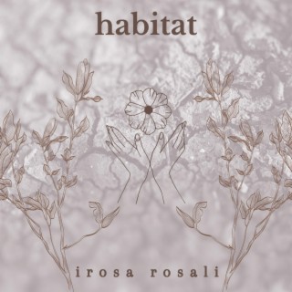 habitat lyrics | Boomplay Music
