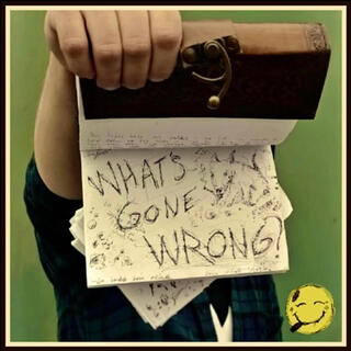 What´s Gone Wrong?