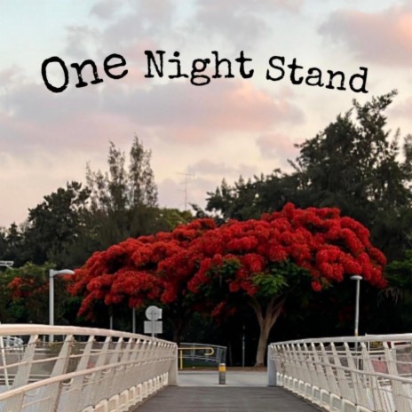 One Night Stand ft. Flytrap | Boomplay Music