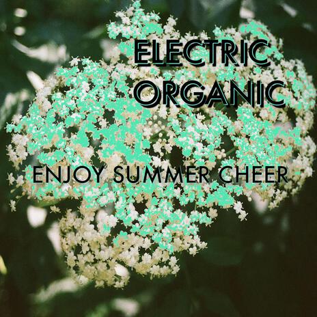 Enjoy Summer Cheer | Boomplay Music