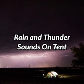 Rain and Thunder Sounds on Tent