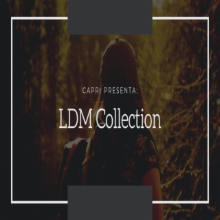 LDM Collection