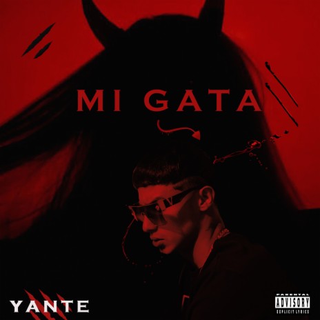 Mi Gata | Boomplay Music