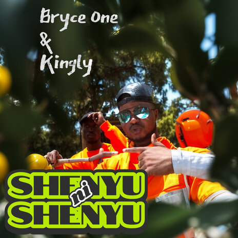 Shenyu ni Shenyu | Boomplay Music