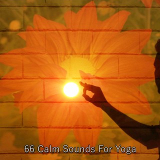 66 Calm Sounds For Yoga