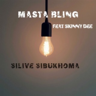 Masta Bling (feat Skinny Dee)