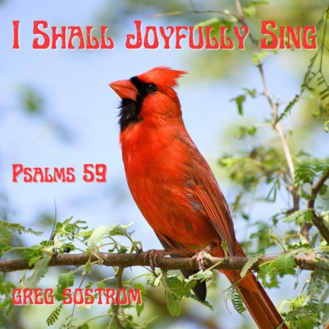 I Shall Joyfully Sing | Boomplay Music