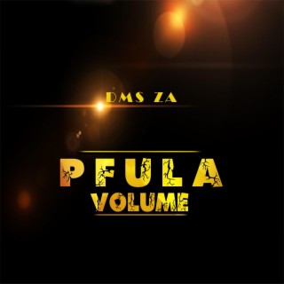 Pfula Volume (feat. Amu, Dala, Queen B, Fox de president & Mostly b)