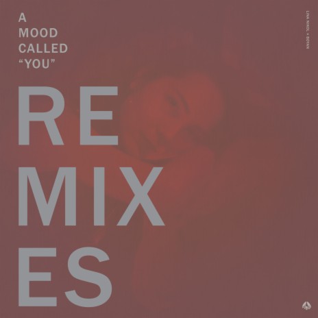 Set You Free (Moods Remix) ft. Boyan & Ashton Sellars | Boomplay Music