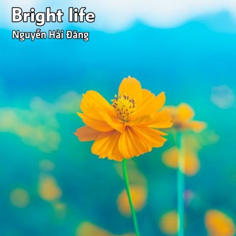 Bright life | Boomplay Music