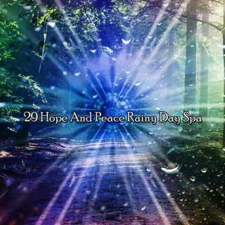 29 Hope And Peace Rainy Day Spa