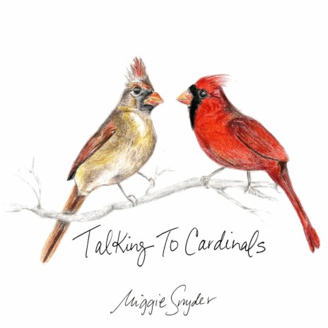 Talking to Cardinals | Boomplay Music