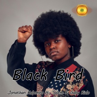 Black Bird ft. Gaby Bialo & Salem lyrics | Boomplay Music
