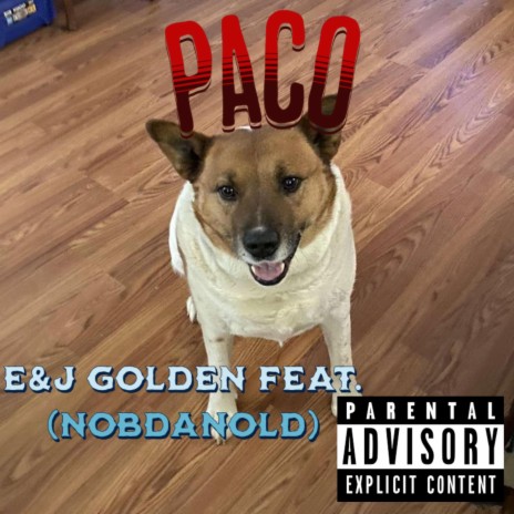 Paco | Boomplay Music