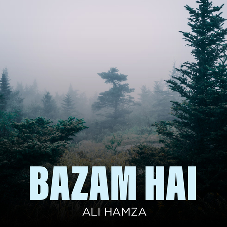 Bazam Hai | Boomplay Music