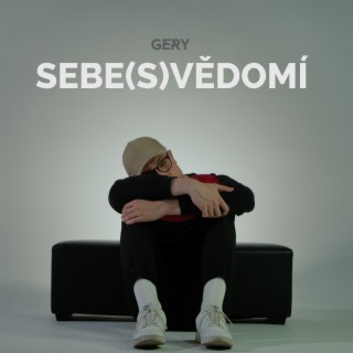 Sebe(s)vědomí