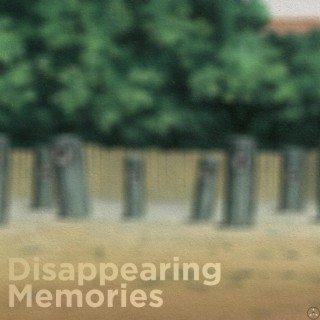 Disappearing Memories