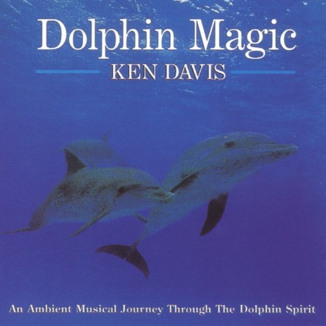 Dolphins and Angels | Boomplay Music