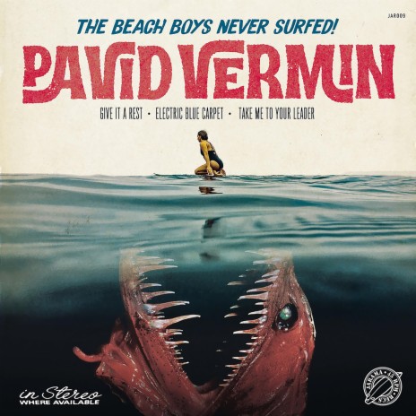 The Beach Boys Never Surfed | Boomplay Music