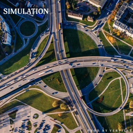 Simulation