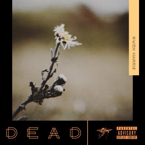 Dead | Boomplay Music