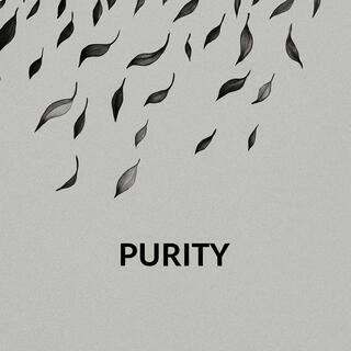 Purity lyrics | Boomplay Music