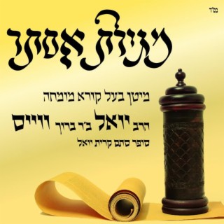 Megillas Esther with Baal Korei Harav Yoel Weiss