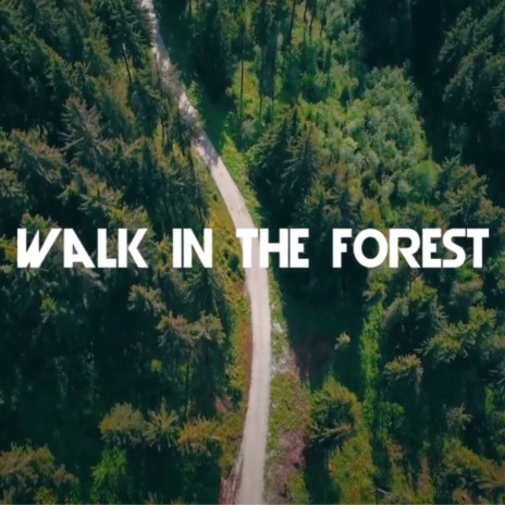 Walk in the Forest | Boomplay Music