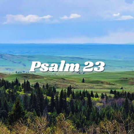 Psalm 23 (Instrumental) | Boomplay Music