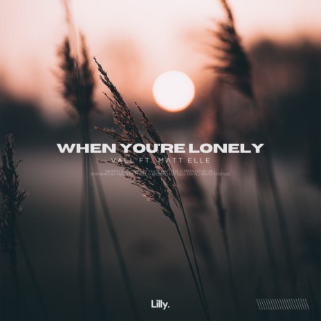 When You're Lonely ft. Matt Elle | Boomplay Music
