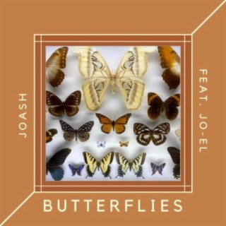 Butterflies (feat. JO-EL)