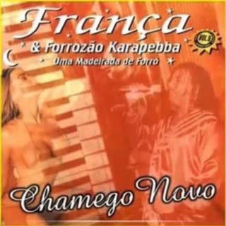 franca e forrozao karapebba vol 8